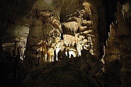 Concrétion dans la grotte de Postojna--CC-BY-SA--Août 2006.jpg