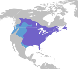 Cyanocitta cristata map.svg