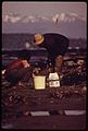 DIGGING FOR CLAMS AT ALKI BEACH, ON PUGET SOUND. LOCATED IN WEST SEATTLE, THE BEACH IS A MAJOR RECREATIONAL ASSET.... - NARA - 552278.jpg