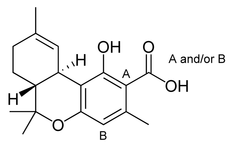 Datei:Delta-9-tetrahydrocannabiorcolic acid.png