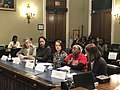 Democratic Women’s Caucus MeToo Silence Breakers hearing