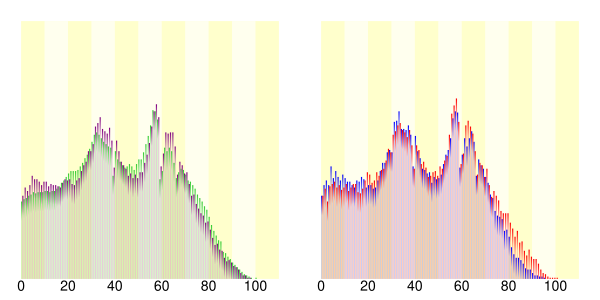 江南市 Wikipedia