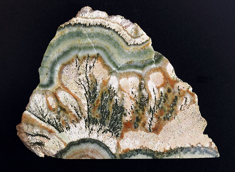 File:Dendrite in stone from Russia.jpg