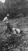 Digging for water at Tikal, Guatemala 1923.tif