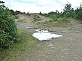 Disused Quarry, Hirfynydd - geograph.org.uk - 963753.jpg