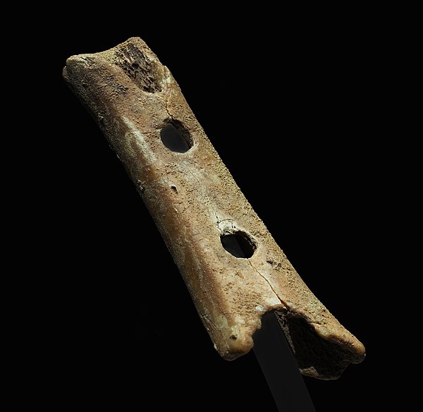 A pierced cave bear bone, possibly a flute made by Neanderthals dating to Late Pleistocene