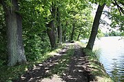 Čeština: Dolní velký rybník (24,78 ha) v k.ú. Údolí u Nových Hradů, obec Nové Hrady, okres České Budějovice. English: Dolní velký pond in Nové Hrady, České Budějovice District, South Bohemian Region, Czechia.