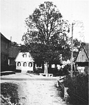 Die alte Dorflinde von Theisau im Jahr 1934 an der heutigen B 289