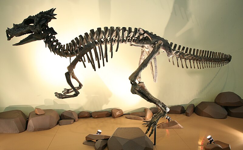 File:Dracorex 3.jpg