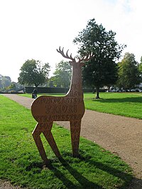 Dudley Priory Park Stag.JPG
