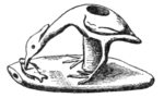 Fig. 2.—Heron Pipe.