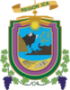 Escudo Región Ica.png