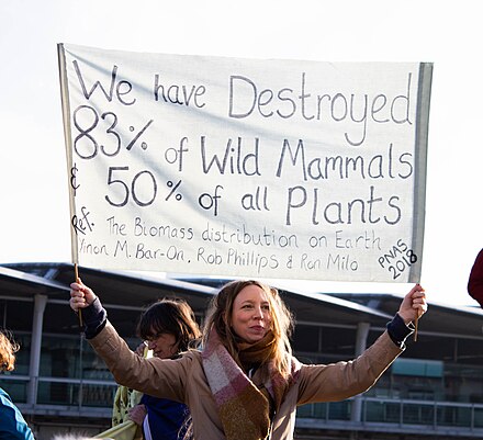 Demonstrator against biodiversity loss, at Extinction Rebellion (2018).