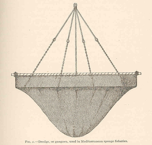 File:FMIB 42137 Dredge, or gangava, used in Mediterranean sponge fisheries.jpeg