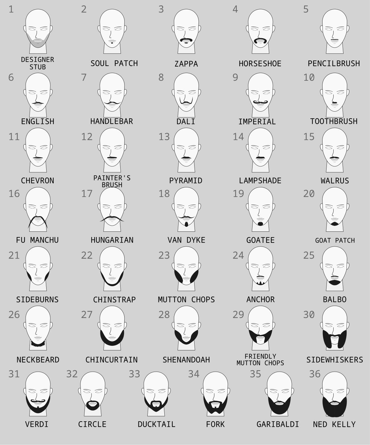 types of chin