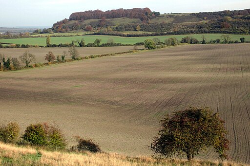 Farmland by the Sharpenhoe Clappers - geograph.org.uk - 3742316