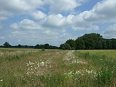 Field margin beside drain - geograph.org.uk - 5432314.jpg