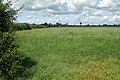 Fields near Highermoor - geograph.org.uk - 427671.jpg