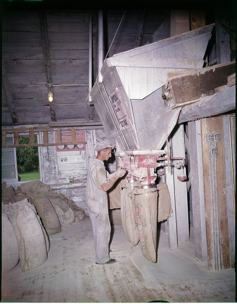 File:Filling sacks with seed on a Experimental Farm in Woodstock (I0005698).tif