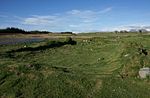 Finlaggan Kalesi, Eilean Mor, Loch Finlaggan