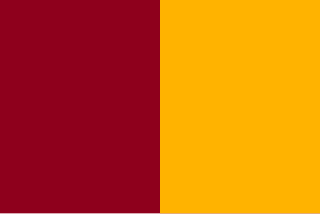 <span class="mw-page-title-main">Flag of Rome</span> Official flag of Rome, Italy