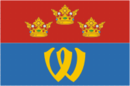 Flagge von Vyborg Bay