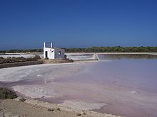 Le saline.