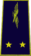 général de brigade aérienne