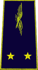 FranceGénéral de brigade aérienne