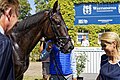 Beim Wasser trinken im Absattelring