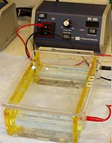 Gel electrophoresis apparatus