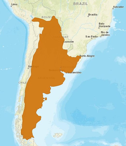 File:GeoffroysCat distribution.jpg