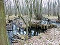 Zusammenfluss von Entwässerungsgräben im Rieseberger Moor Richtung Lauinger Mühlenriede