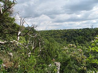 Goblin Combe