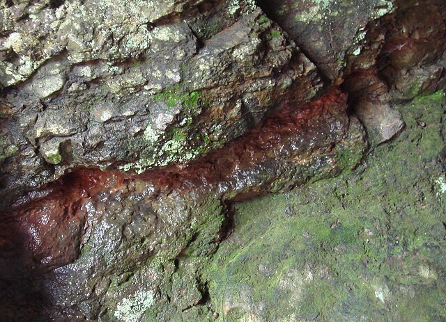 In situ gold-bearing vein (in brown) at the Toi gold mine, Japan.