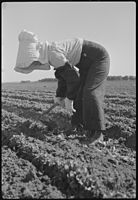 Granada Relocation Center, Amache, Colorado, paní M. Jošinaga, wife of the unit supervisor