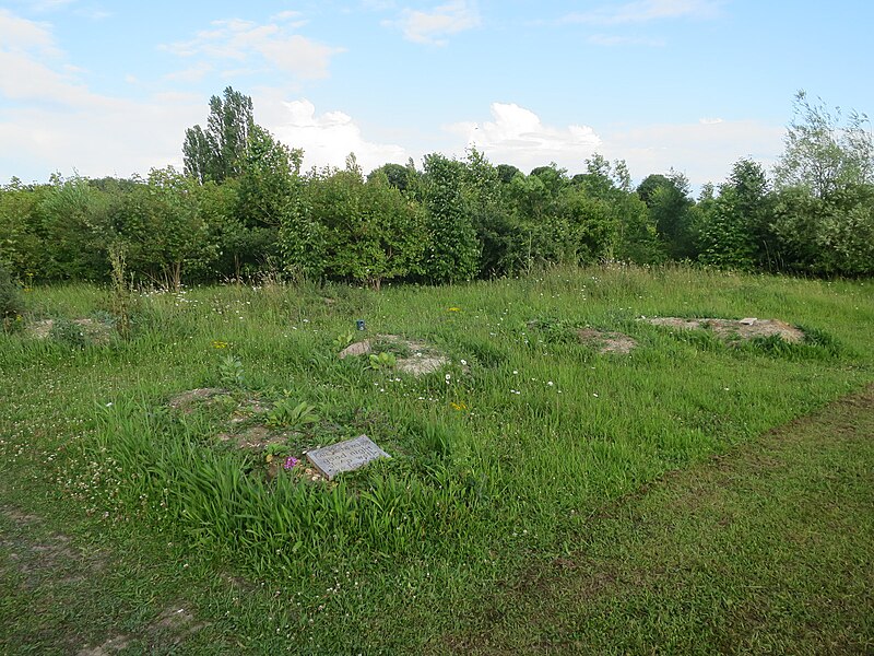 File:Graves in woodland burial ground - geograph.org.uk - 5031583.jpg