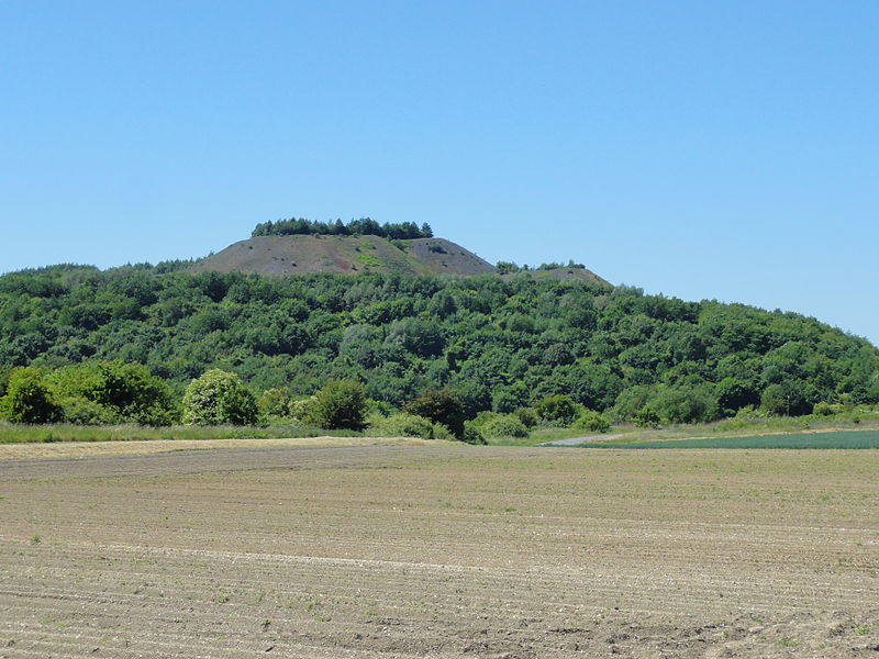 File:Grenay - Terril n° 58, Lavoir Mazingarbe Ouest (01).JPG