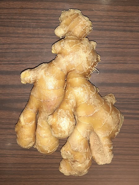 File:HK spice food herb root plant 薑塊 Ginger February 2021 SS2 01.jpg