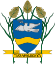 Tiszapalkonya címere