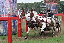 Skewbald pair-in-hand Harrie Verstappen Warka 2007.jpg