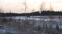 Osittain jäätynyt Harrinjärvi järven lounaispuolitse kulkevalta tieltä kohti pohjoista nähtynä.