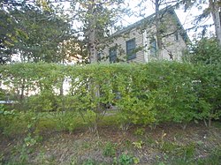 Henry Williams Rumah; Halesite, NY-2.jpg