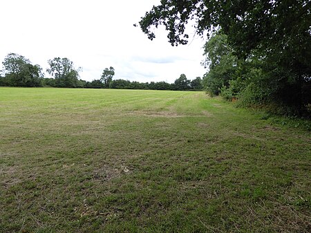 High House Meadows 1