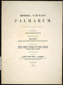 Title page of Volume one of Historia naturalis palmarum Historia naturalis palmarum.jpg