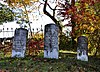 Trippe Holly Grove Cemetery Holly Grove Cemetery.jpg