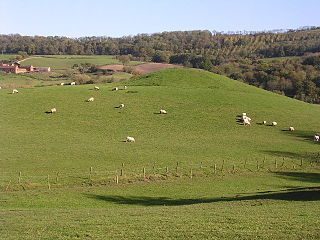 <span class="mw-page-title-main">Ham Castle</span> Castle in the United Kingdom