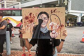 Ảnh minh họa ám chỉ sự kiện ngày 11 tháng 8 khi cảnh sát bị cáo buộc bắn vào mắt của một nữ biểu tình bằng viên đạn đậu