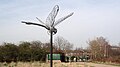 Libellula di Hounslow Heath 1429.JPG