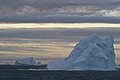 Icebergs near South Shetland Islands.jpg
